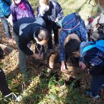 園生の森公園を育てる会・2月の定例活動