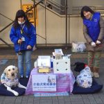 介助犬育成の為に行う街頭募金活動のボランティアを募集します！【船橋駅南口】