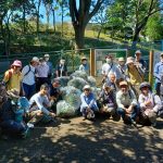 【ボランティア体験会レポート】外来植物除草作業のサポート＠千葉市（2022/9/10）