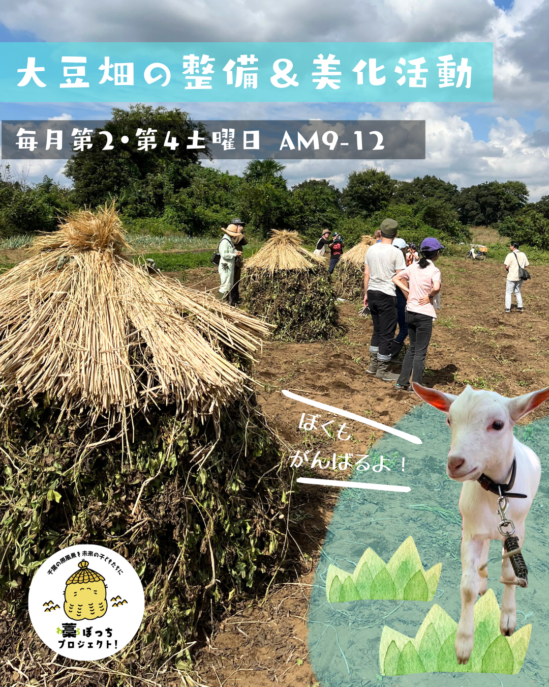 〜千葉の原風景を未来の子どもたちに〜藁ぼっちプロジェクト!