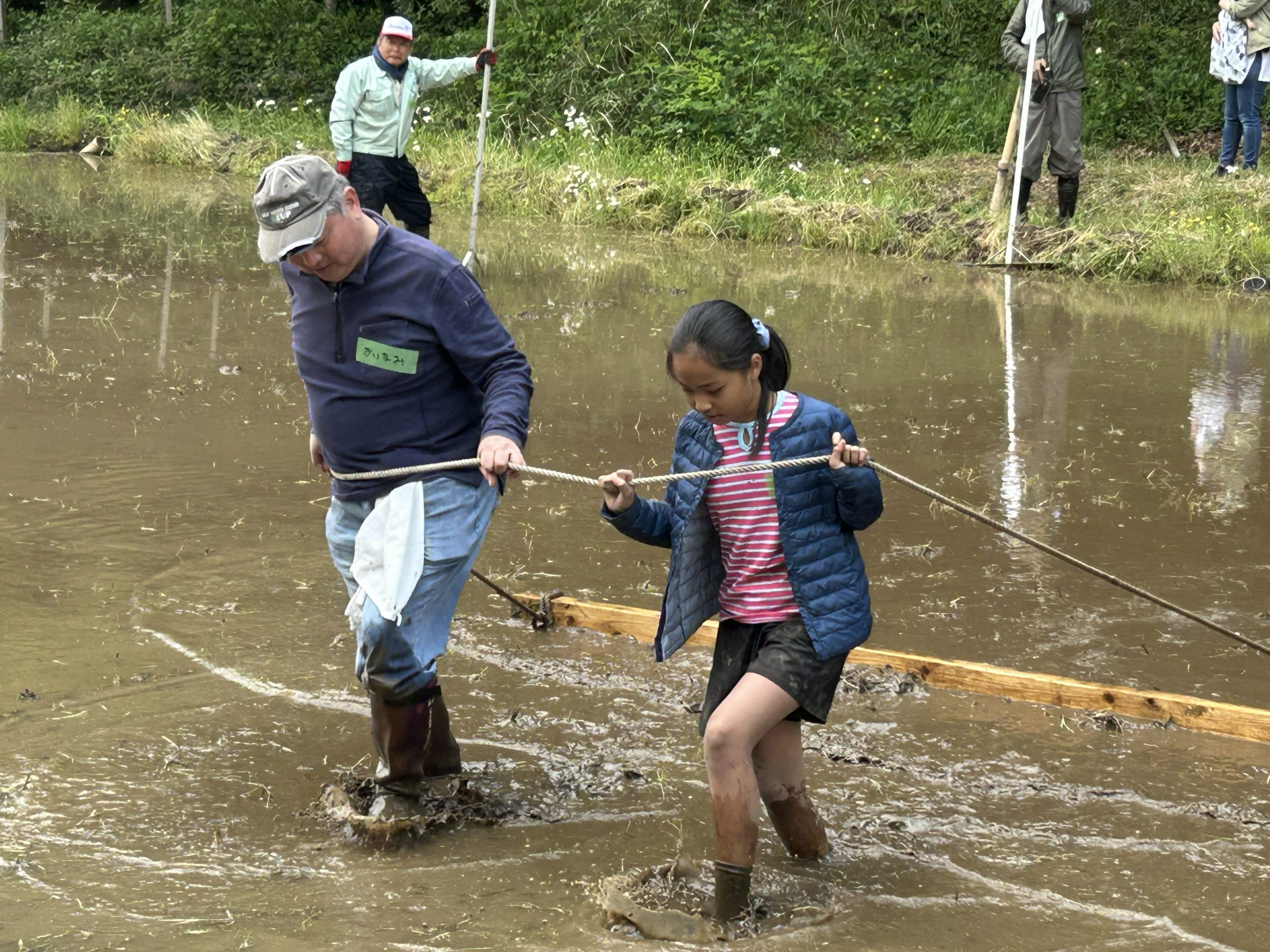 田植え直前! 田んぼの準備(代掻きなど)