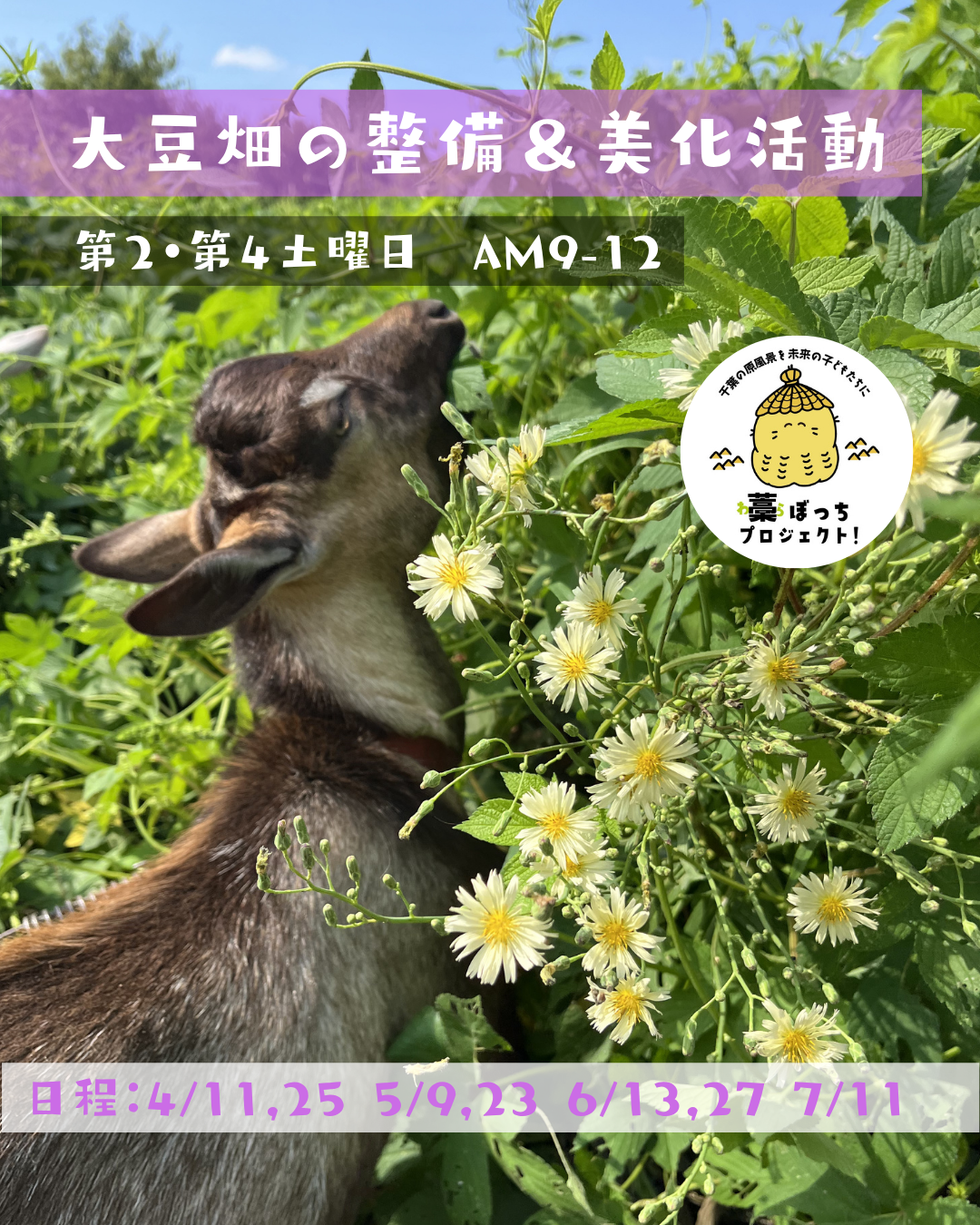 〜千葉の原風景を未来の子どもたちに〜藁ぼっちプロジェクト！〜