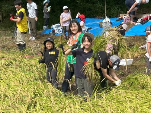 秋のイベント「昔ながらの田植え体験」ボランティアスタッフ募集！